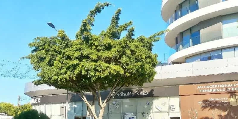 The building's entrance and frontage.