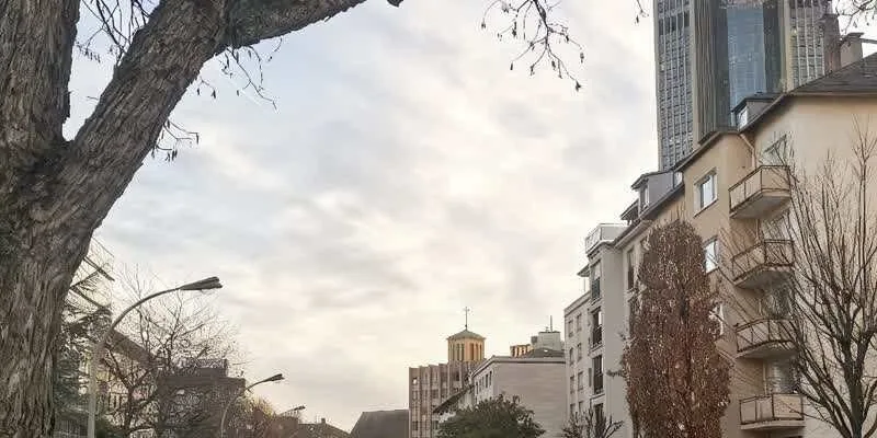 团队找到的地址实景。