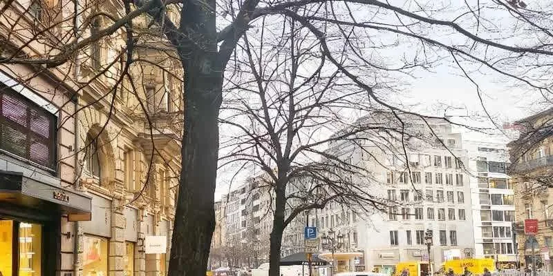 团队找到的地址实景。