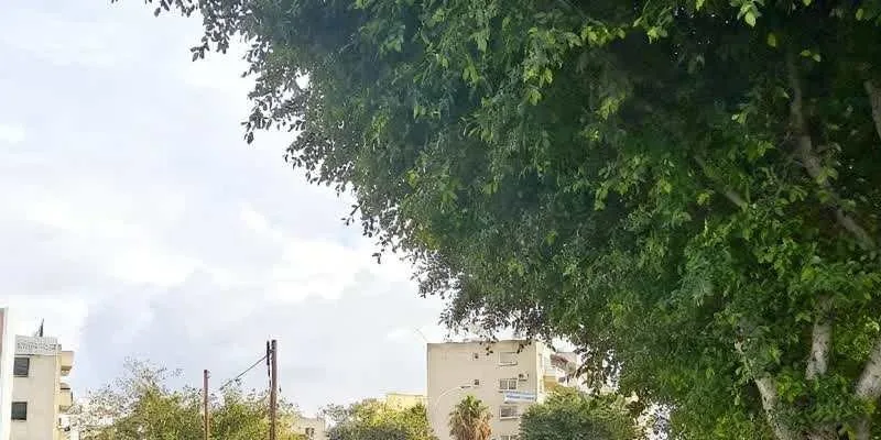 团队找到的地址实景。
