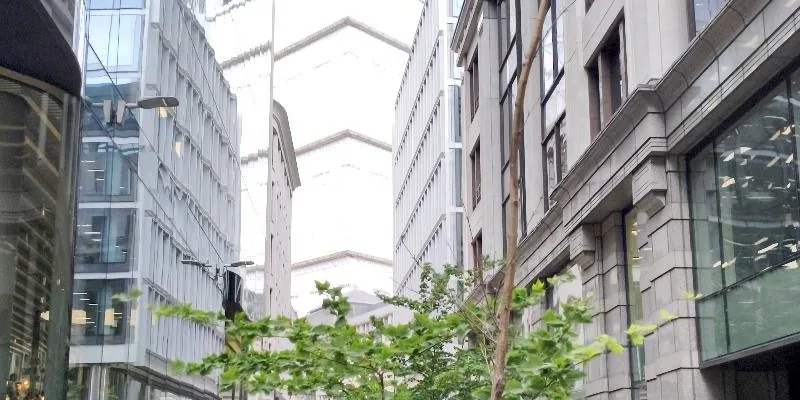 大楼的入口和正面。