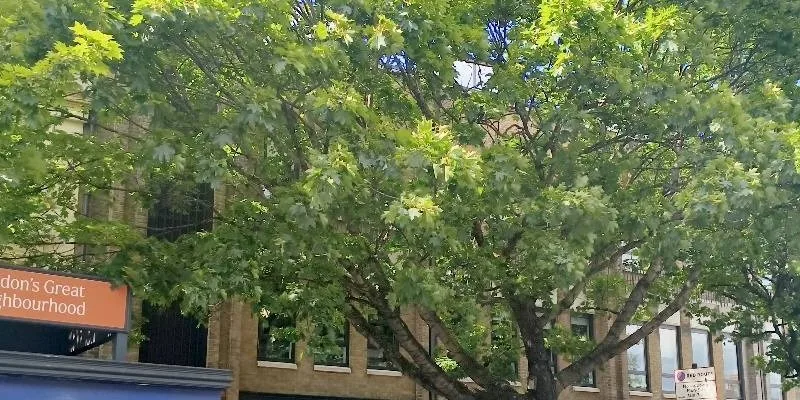 团队找到的地址实景。