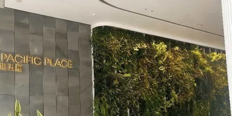 大楼的入口和正面。