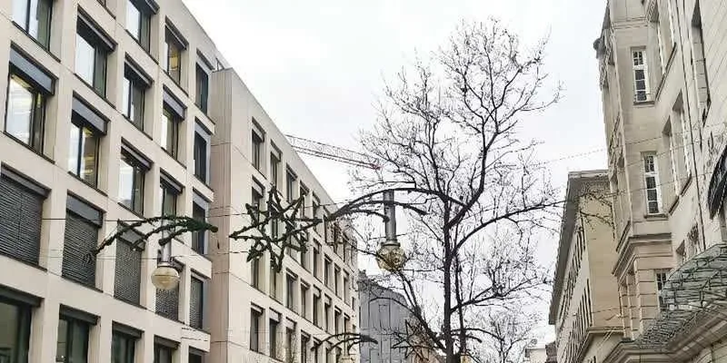 团队找到的地址实景。