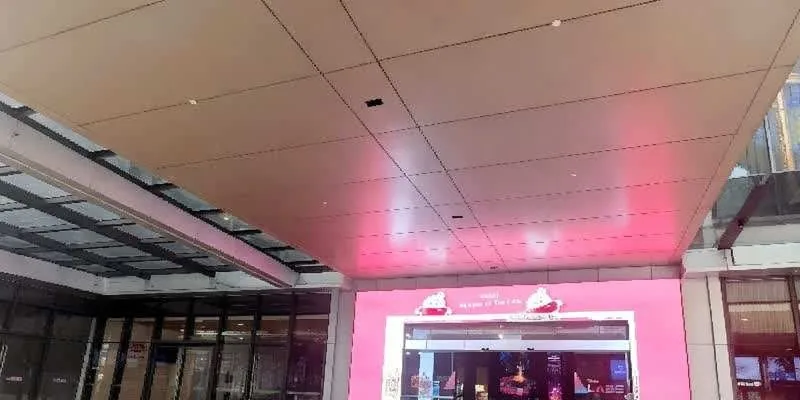 大楼的入口和正面。