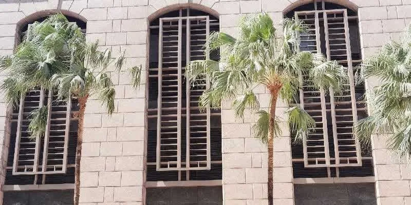 团队找到的地址实景。