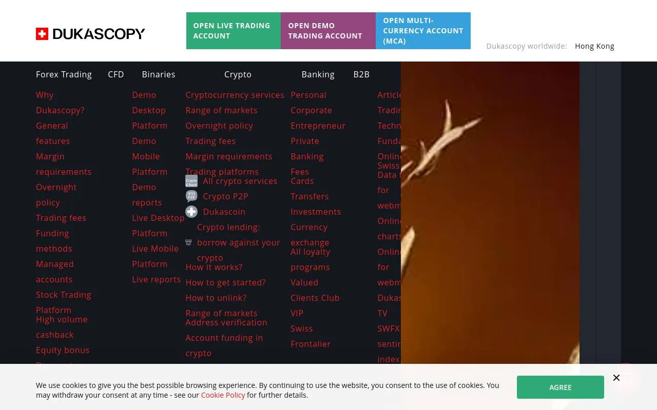 Dukascopy homepage