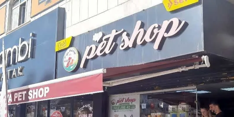 大樓的入口和正面。