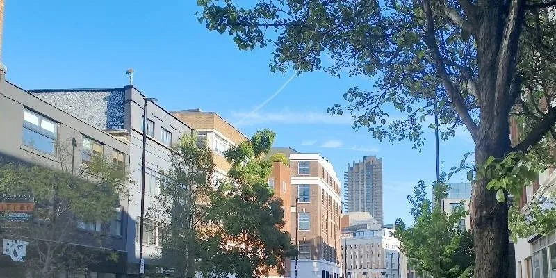 大樓的入口和正面。