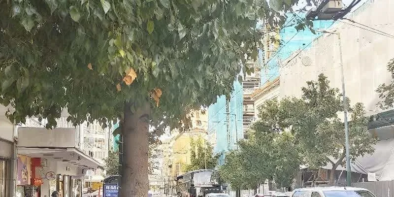 大樓的入口和正面。