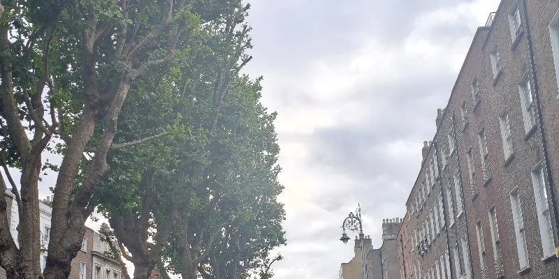 團隊找到的地址實景。