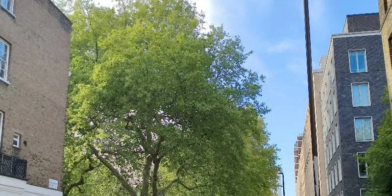 大樓的入口和正面。