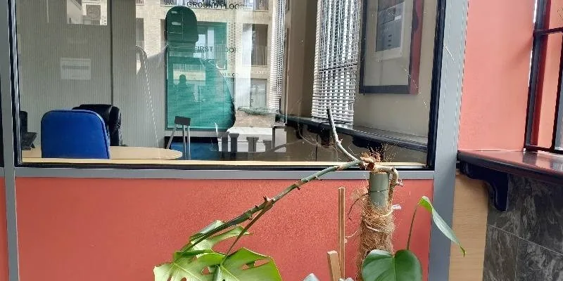 團隊找到的地址實景。