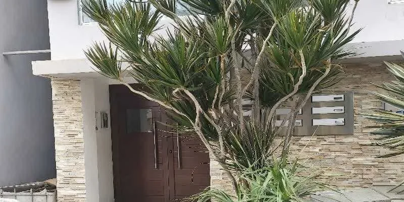 團隊找到的地址實景。
