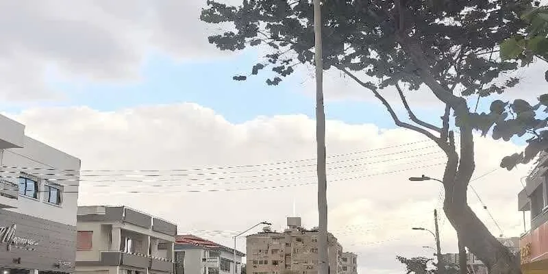 大樓的入口和正面。