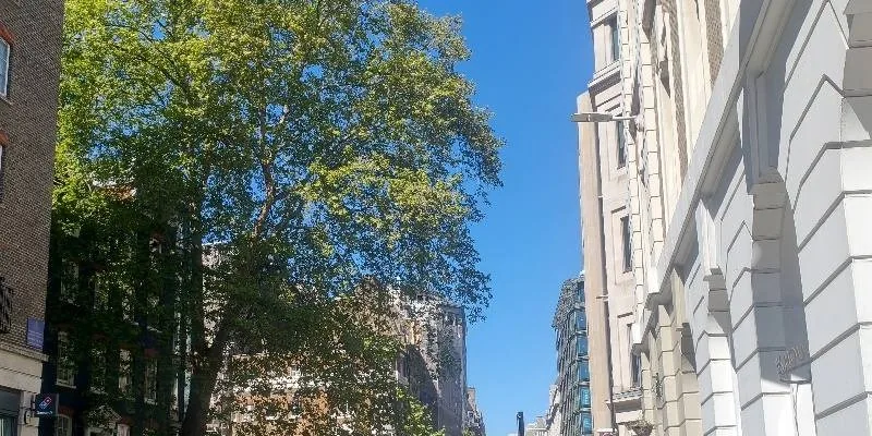 團隊找到的地址實景。