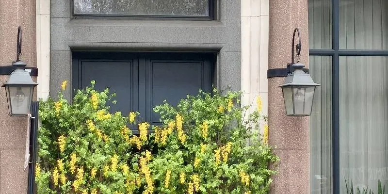 大樓的入口和正面。