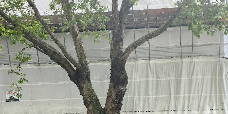 大樓的入口和正面。