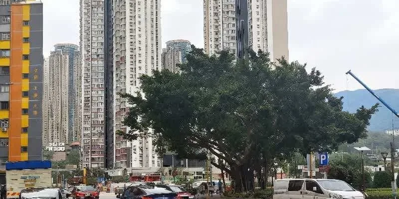 團隊找到的地址實景。