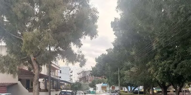 團隊找到的地址實景。