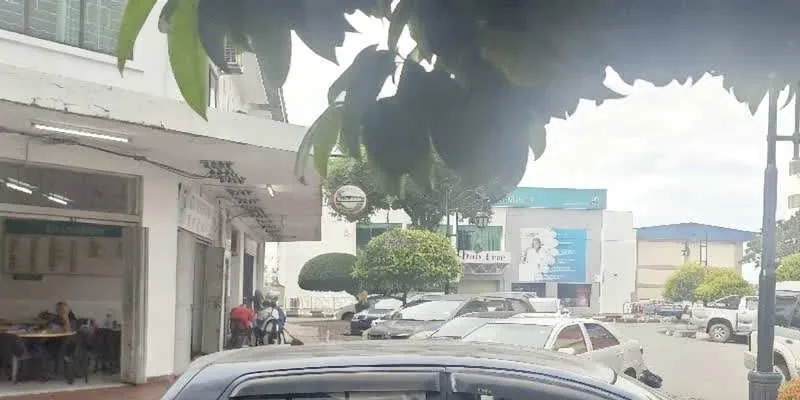 團隊找到的地址實景。