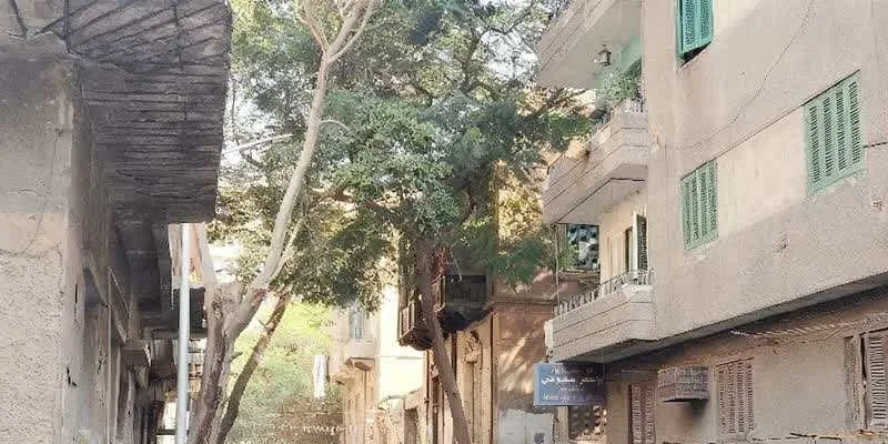 團隊找到的地址實景。