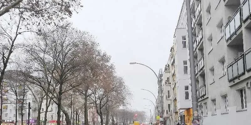 團隊找到的地址實景。