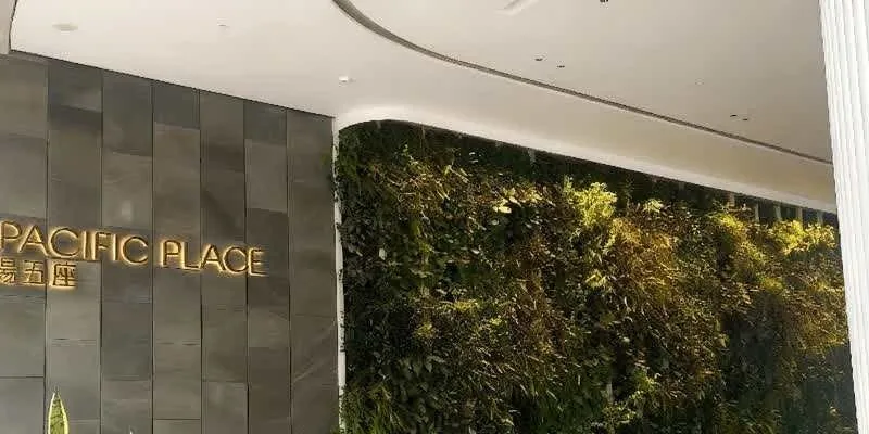 大樓的入口和正面。