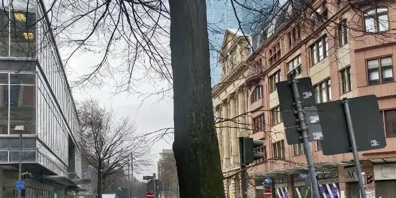 團隊找到的地址實景。