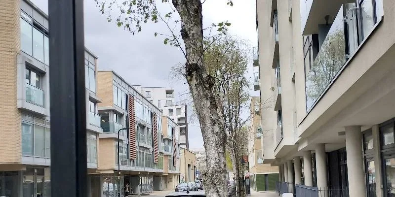 團隊找到的地址實景。