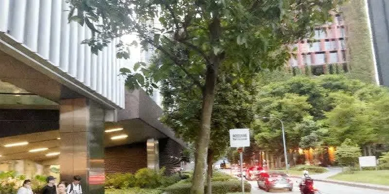 團隊找到的地址實景。