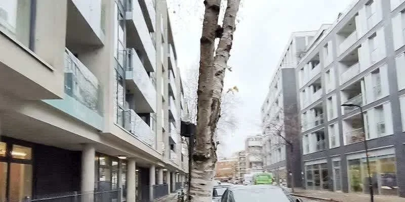 大樓的入口和正面。
