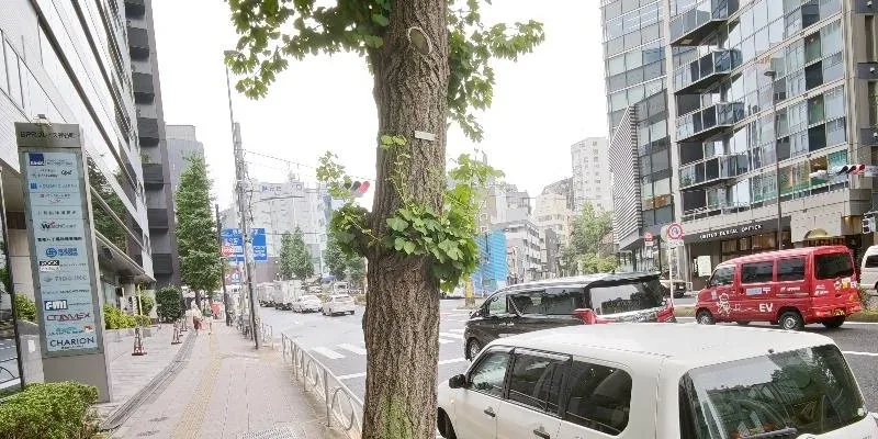 團隊找到的地址實景。