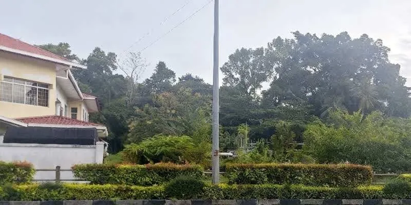 大樓的入口和正面。