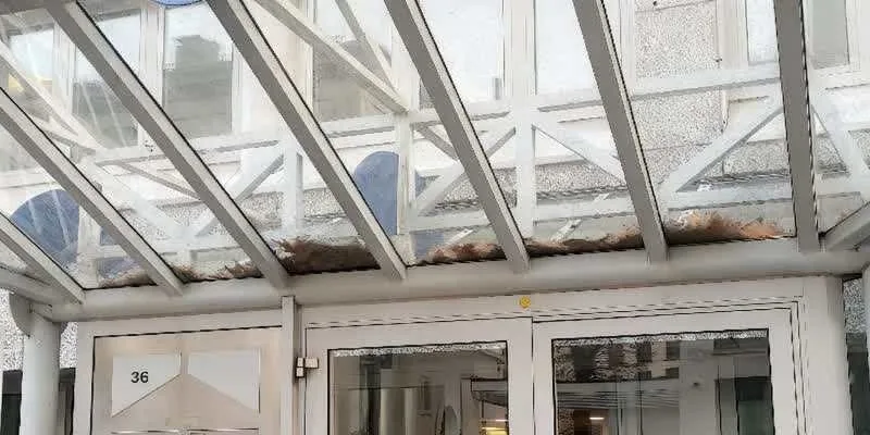 大樓的入口和正面。