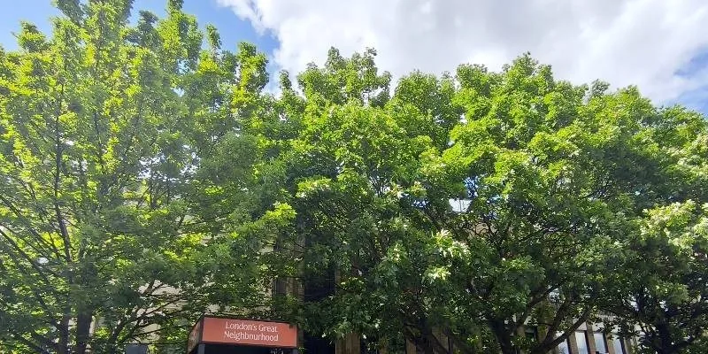 團隊找到的地址實景。
