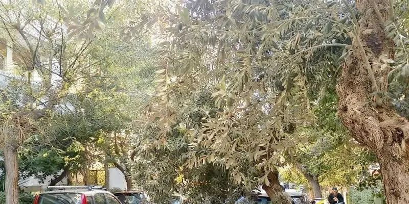 團隊找到的地址實景。